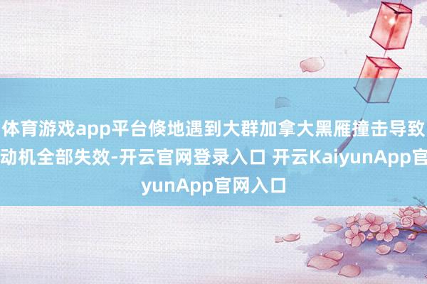 体育游戏app平台倏地遇到大群加拿大黑雁撞击导致两台发动机全部失效-开云官网登录入口 开云KaiyunApp官网入口