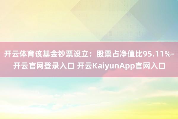 开云体育该基金钞票设立：股票占净值比95.11%-开云官网登录入口 开云KaiyunApp官网入口