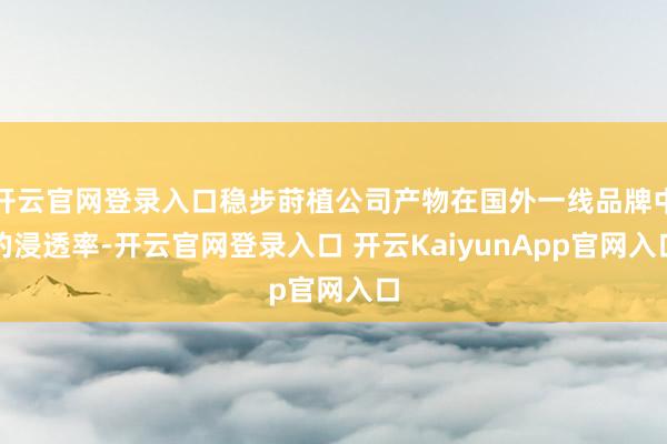 开云官网登录入口稳步莳植公司产物在国外一线品牌中的浸透率-开云官网登录入口 开云KaiyunApp官网入口